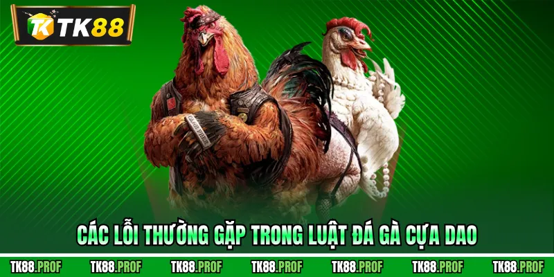 Các lỗi thường gặp trong luật đá gà cựa dao