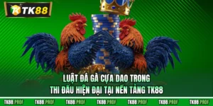 Luật Đá Gà Cựa Dao Trong Thi Đấu Hiện Đại Tại Nền Tảng TK88