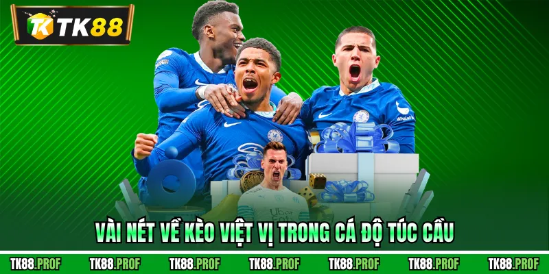 Vài nét về kèo việt vị trong cá độ túc cầu